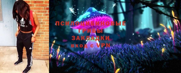 ECSTASY Горняк